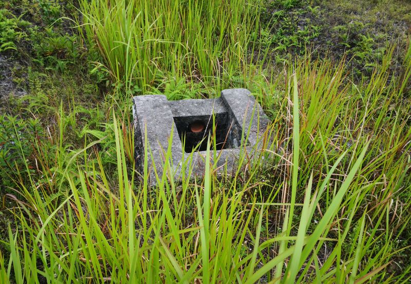 Arroyo Garden @ Setia Eco Hill