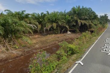 Bukit Jintan, Yong Peng Tanah Pertanian (Sawit 6-7 Tahun)