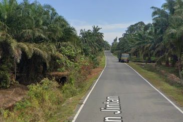 Bukit Jintan, Yong Peng Tanah Pertanian (Sawit 6-7 Tahun)