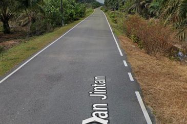 Bukit Jintan, Yong Peng Tanah Pertanian (Sawit 6-7 Tahun)