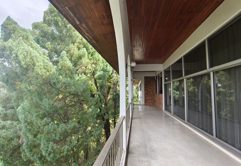 Damansara Heights (Bukit Damansara)