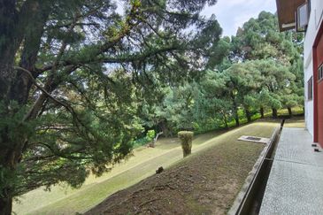 Damansara Heights (Bukit Damansara)