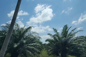 Agri land in industrial zoning at Ijok For Sale