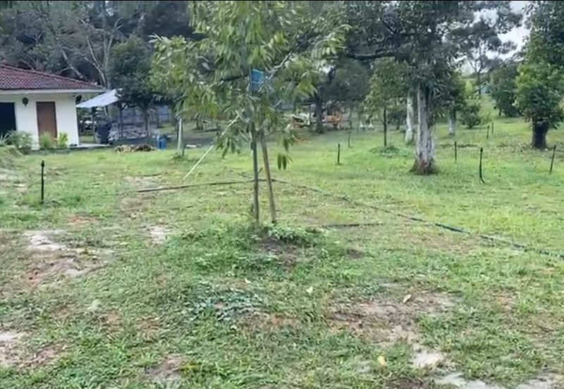Semenyih with Farm, Durian & Fish Pond For Sale