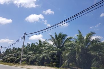 Freehold Agri Land at Ijok For Sale