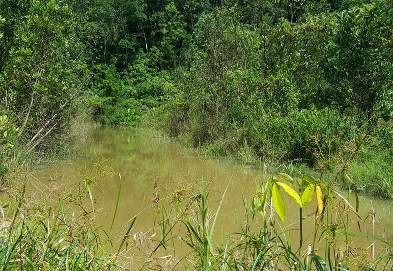 Freehold Agri Land at Semenyih For Sale!!