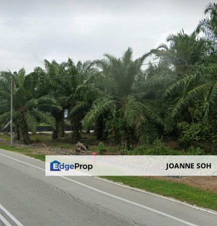 Selangor Agri LAND FOR SALE IN SG PELEK ,SEPANG!!!, Selangor, Sepang