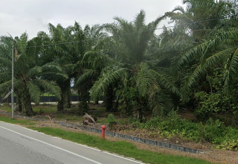 Selangor Agri LAND FOR SALE IN SG PELEK ,SEPANG!!!
