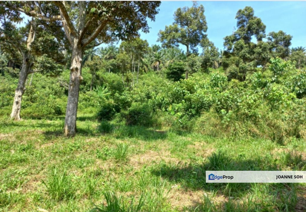 Agri Land rm 30persqft Freehold in Selangor , Selangor, Sepang