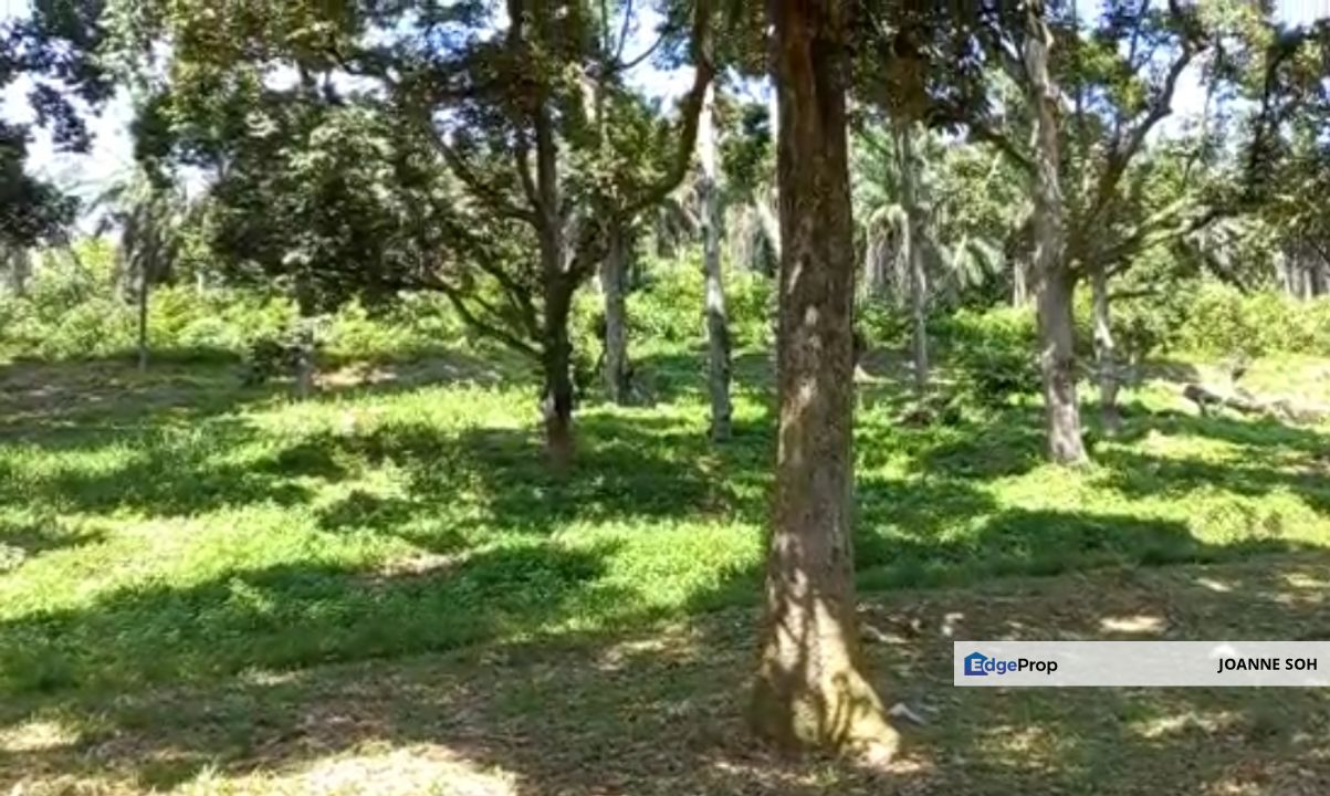 Agri Land rm 30persqft Freehold in Selangor , Selangor, Sepang