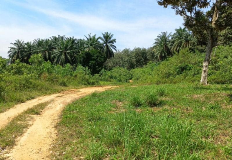 Bandar Baru Salak Tinggi