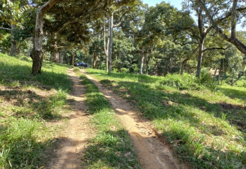 Bandar Baru Salak Tinggi