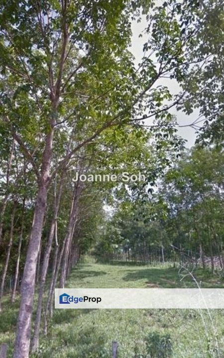 Freehold Beranang Agri Land For Sale!, Selangor, Beranang