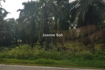 Heavy Industrial Land at Sepang For Sale