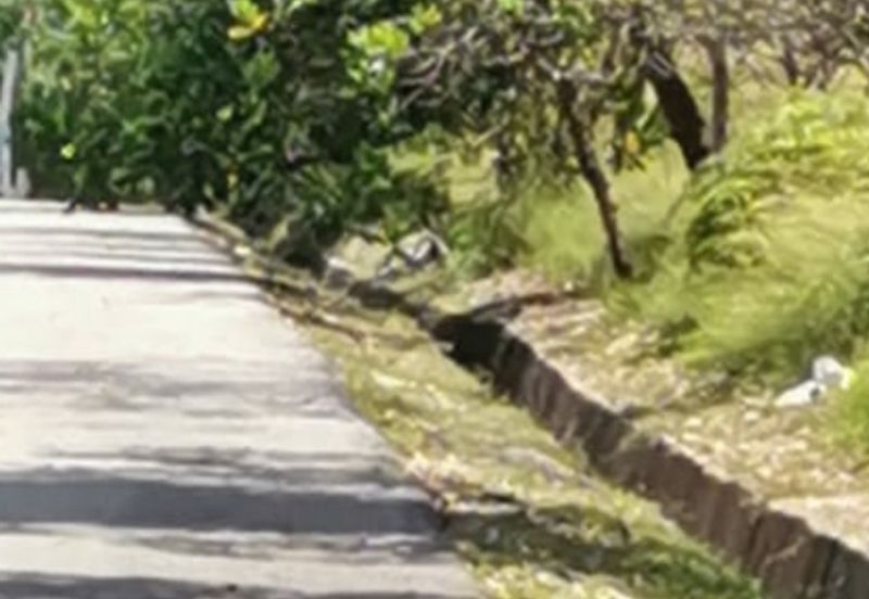 Melaka Agri land Facing Mainroad For Sale!