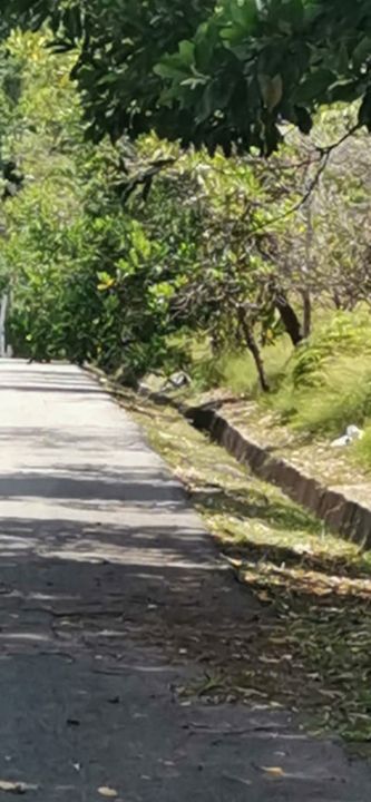 Melaka Agri land Facing Mainroad For Sale!, Melaka, Alor Gajah