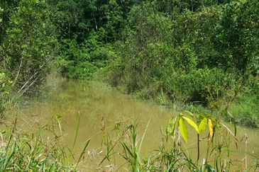 Agri Land Freehold at Semenyih For Sale!!