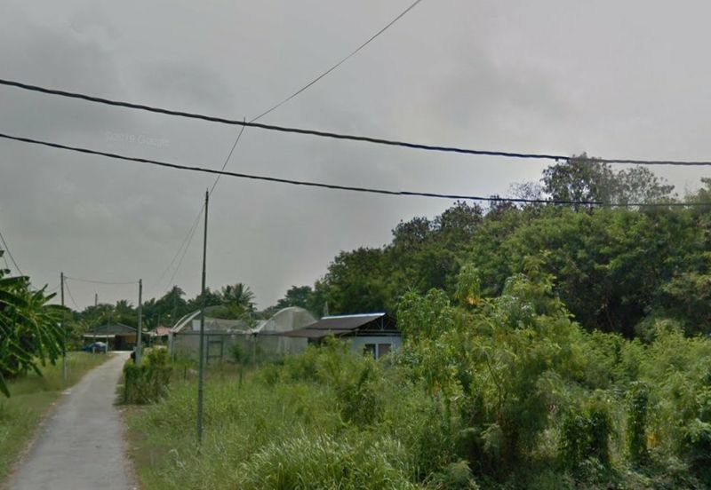 Freehold agri FLAT land 10acres at Kapar for sale