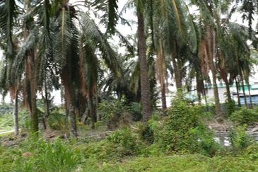 Agri land 5.012acres at Klang Meru For Sale!!