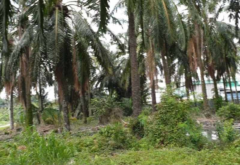 Agri land 5.012acres at Klang Meru For Sale!!