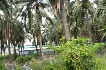 Agri land 5.012acres at Klang Meru For Sale!!