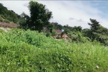 Agri land at Alor Gajah melaka for sale 