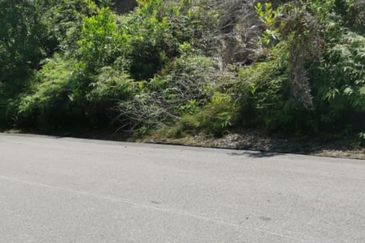 Agri land at Alor Gajah melaka for sale 