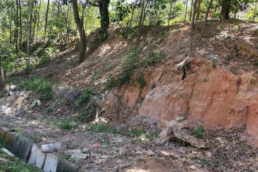 Agri land at Alor Gajah melaka for sale 