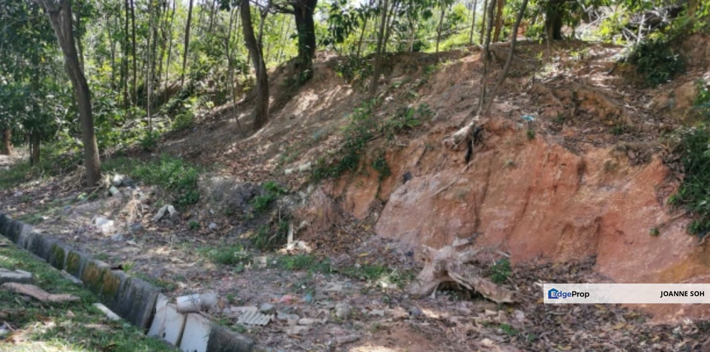 Agri land at Alor Gajah melaka for sale , Melaka, Alor Gajah