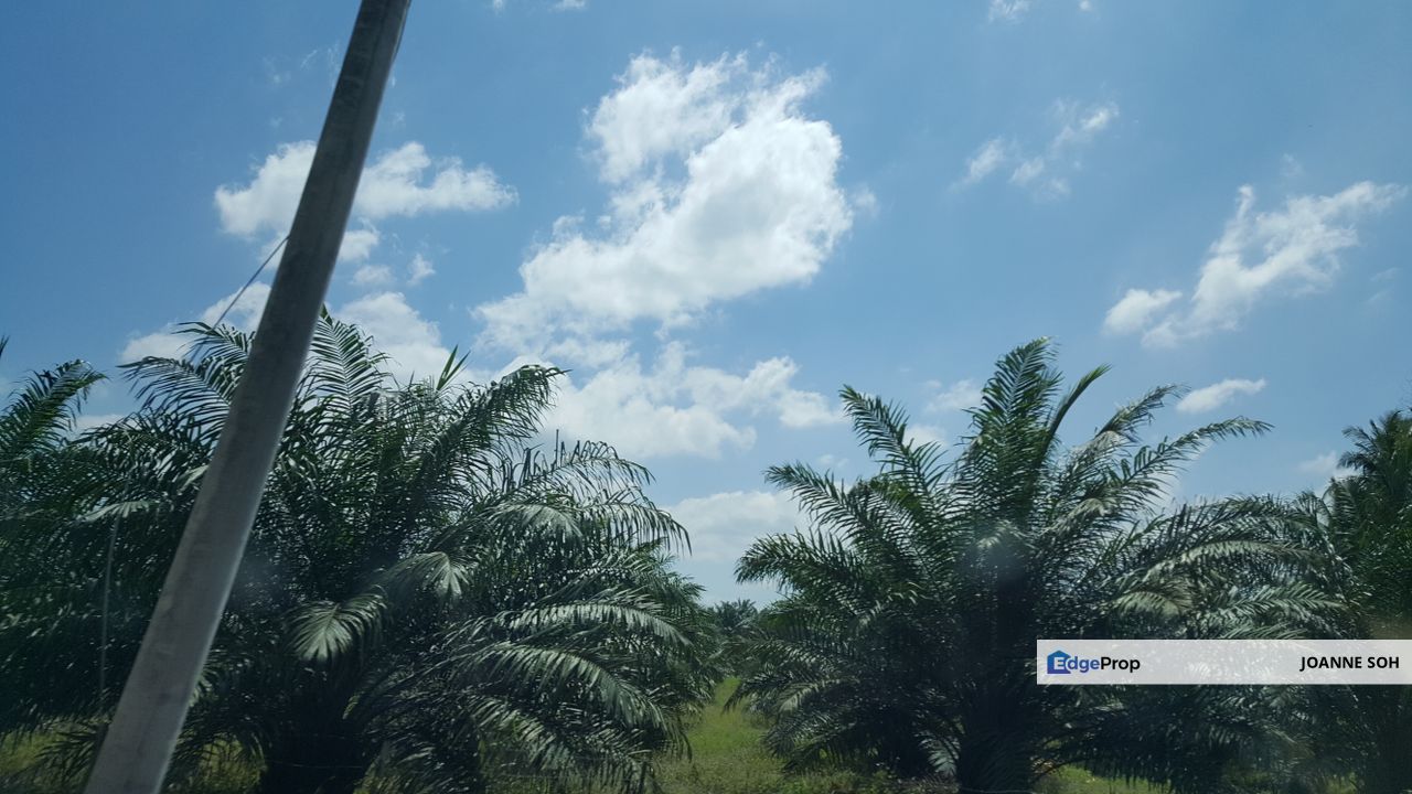 Agri land in heavy industry zone at Ijok For Sale, Selangor, Kuala Selangor