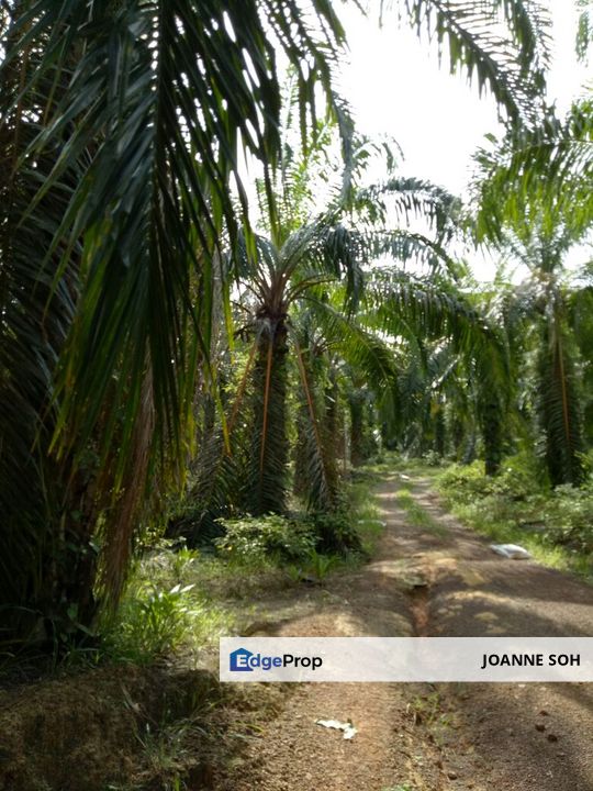 Agri land in heavy industry zone at Ijok For Sale, Selangor, Kuala Selangor