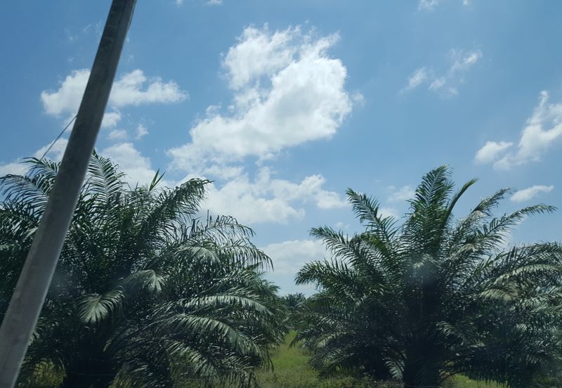 Agri land in heavy industry zone at Ijok For Sale