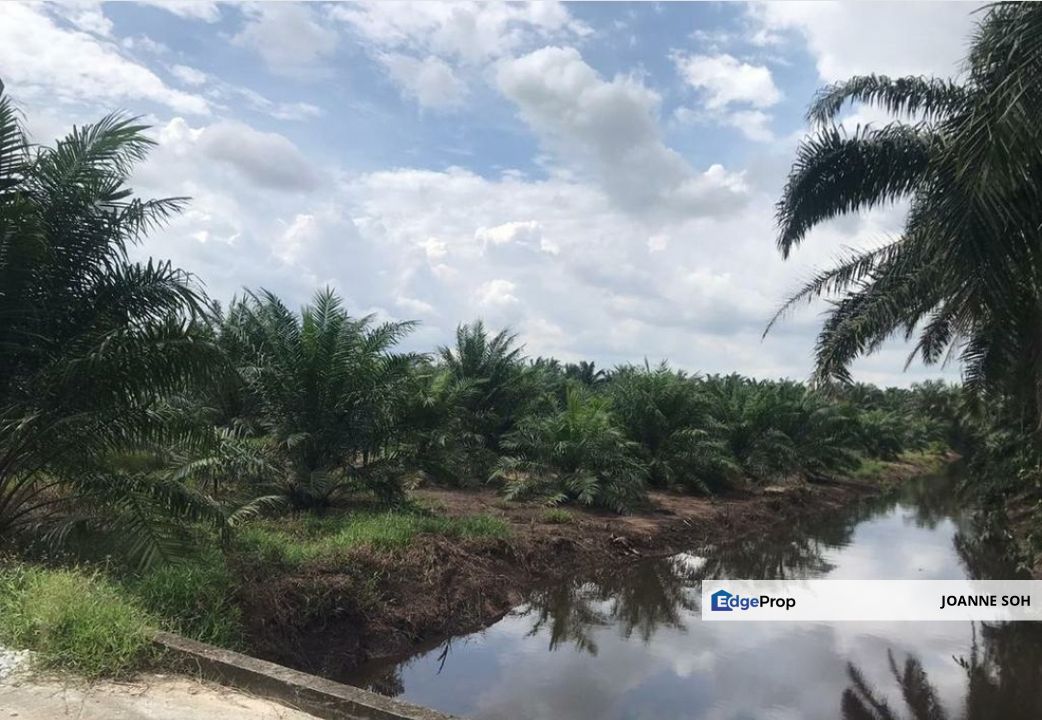 Freehold 5acres Agri land at Banting For Sale!!, Selangor, Banting