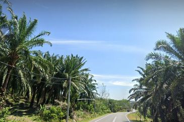 Alor Gajah Melaka agri land Freehold  For Sale!