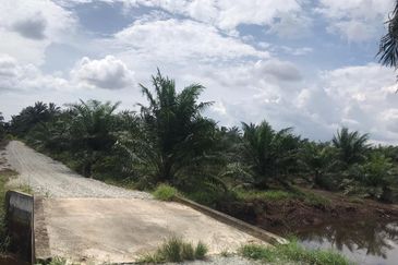 Agri land at Banting Selangor freehold For Sale !!