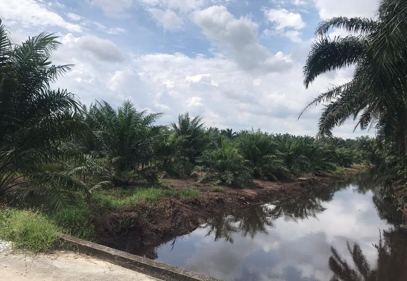 Agri land at Banting Selangor freehold For Sale !!