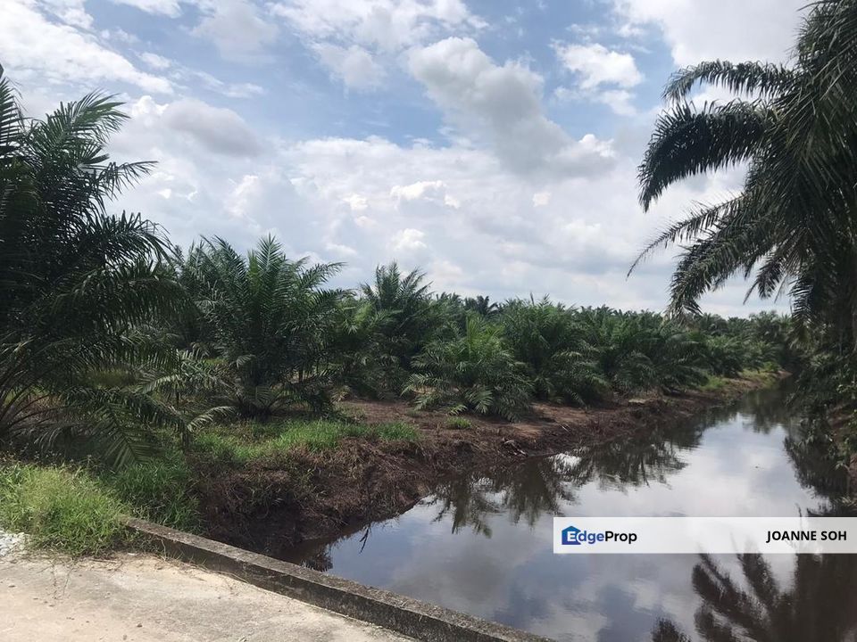 Agri land at Banting Selangor freehold For Sale !!, Selangor, Banting