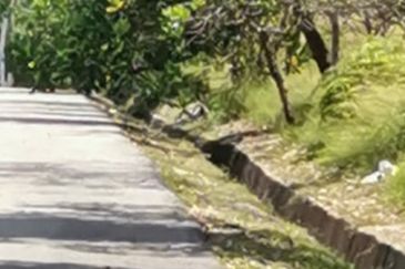 Residential land at Alor Gajah Melaka For Sale!