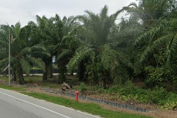 Sepang Selangor Agri LAND FOR SALE IN SG PELEK !!!