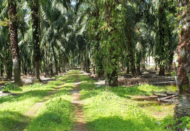 Ijok kuala selangor agri land 2.77acres in ind zoning For Sale!