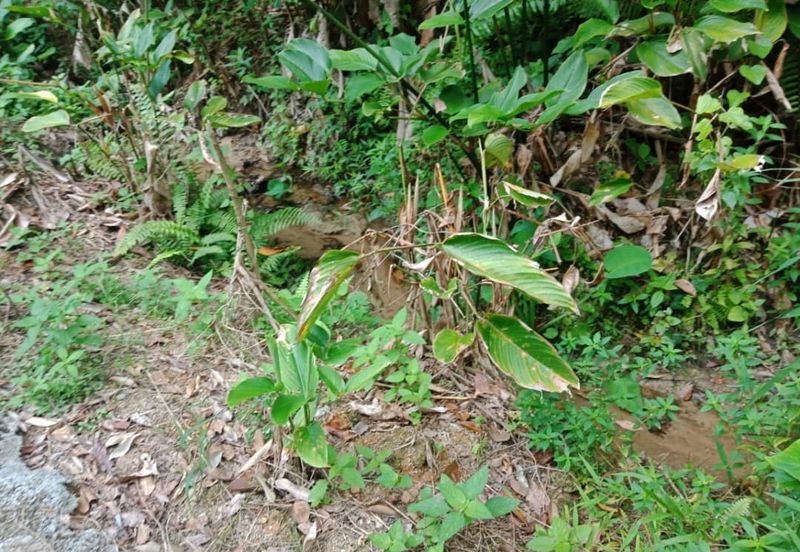 land with Commercial title 5.165acres at cheras for sale!!