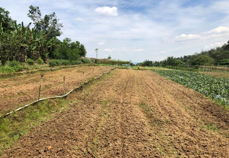 land at kuala selangor 3.08acres ijok kuala selangor medium industry land For Sale!