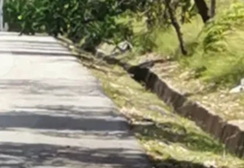 land at kuala selangor 3.08acres ijok kuala selangor medium industry land For Sale!