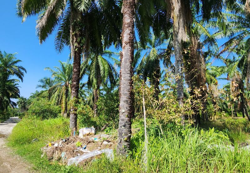 Freehold Seremban Agri land under mix development 920acres For Sale!