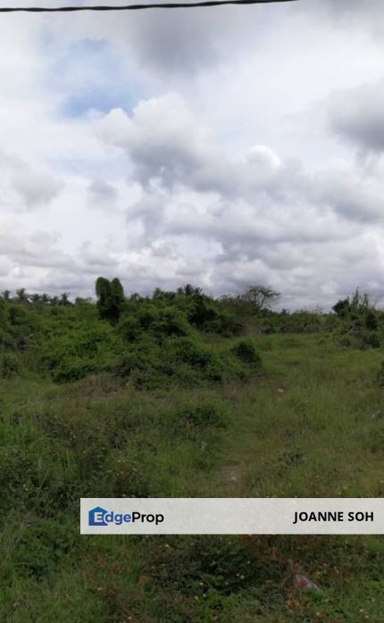 Agri FLAT land 10acres freehold at Kapar for sale, Selangor, Kapar 