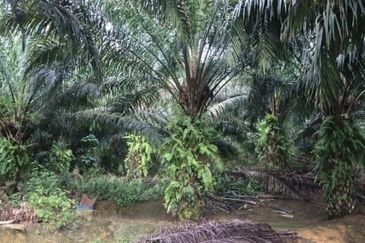 Industrial Land Facing main road at cheras freehold For sale