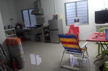 Freehold musang king farm at Benta Pahang for sale