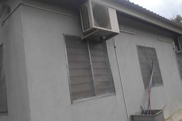 Freehold pahang musang king farm at Benta Pahang for sale