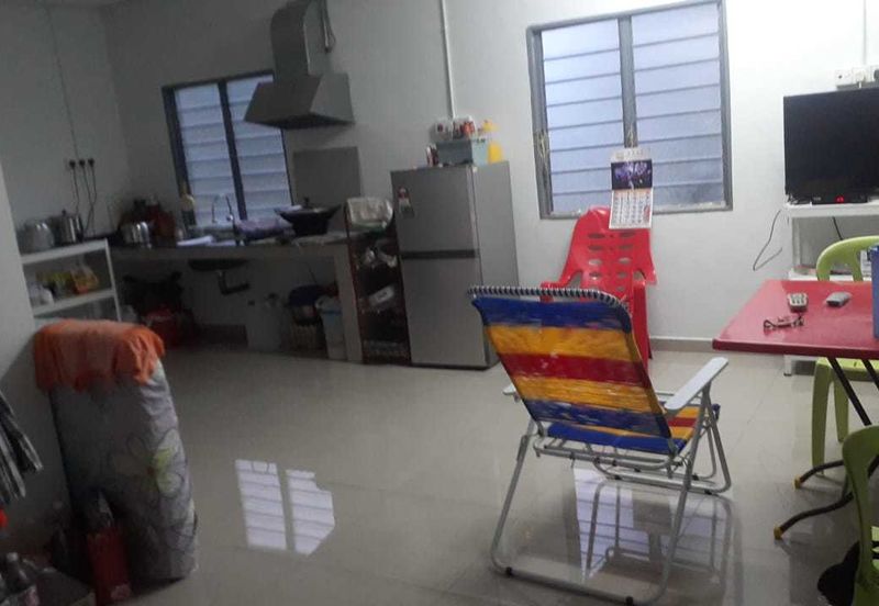 Freehold pahang musang king farm at Benta Pahang for sale