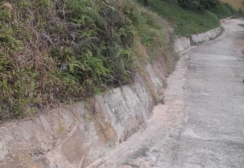 Freehold pahang musang king farm at Benta Pahang for sale